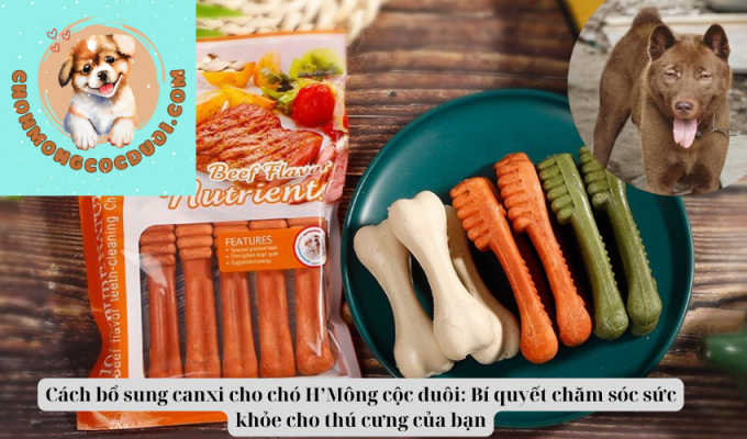 Cách bổ sung canxi cho chó H’Mông cộc đuôi: Bí quyết chăm sóc sức khỏe cho thú cưng của bạn